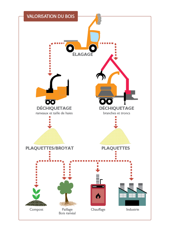 VALORISATION DU BOIS